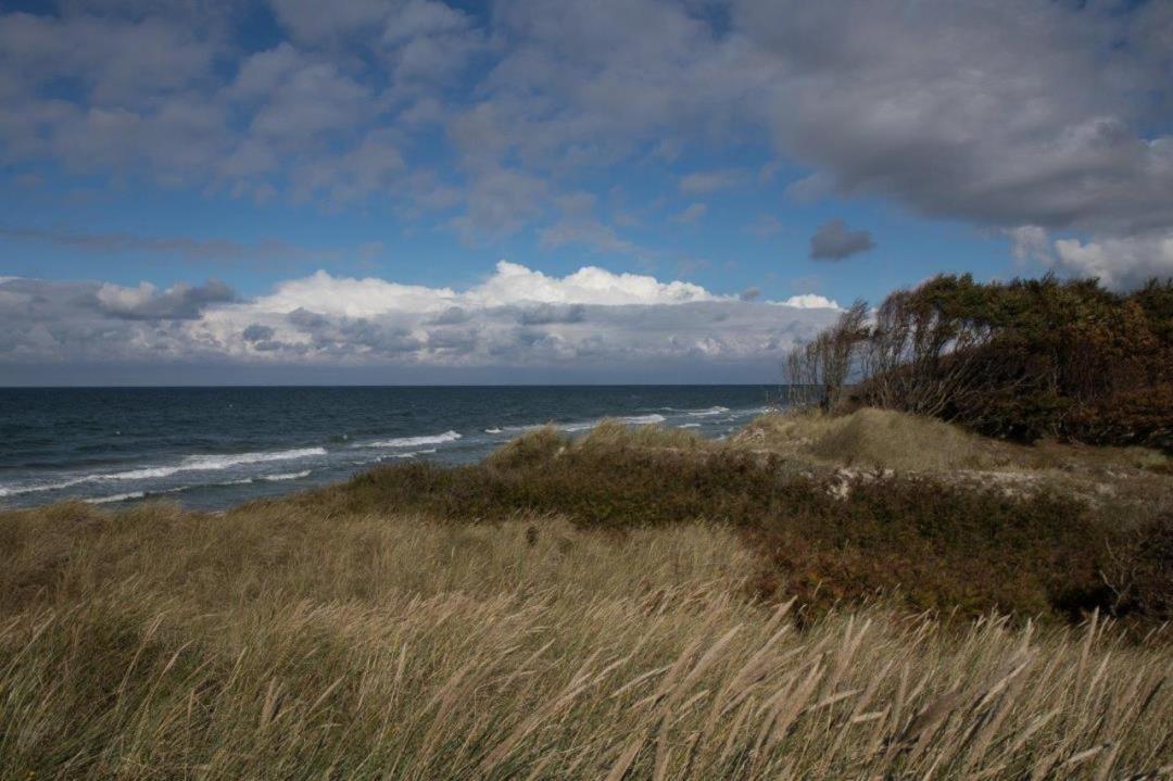 Studio 11 Im Haus Stranddistel, Modernes Studio Im 1 Og Fur 2 Personen In Zingst Eksteriør billede